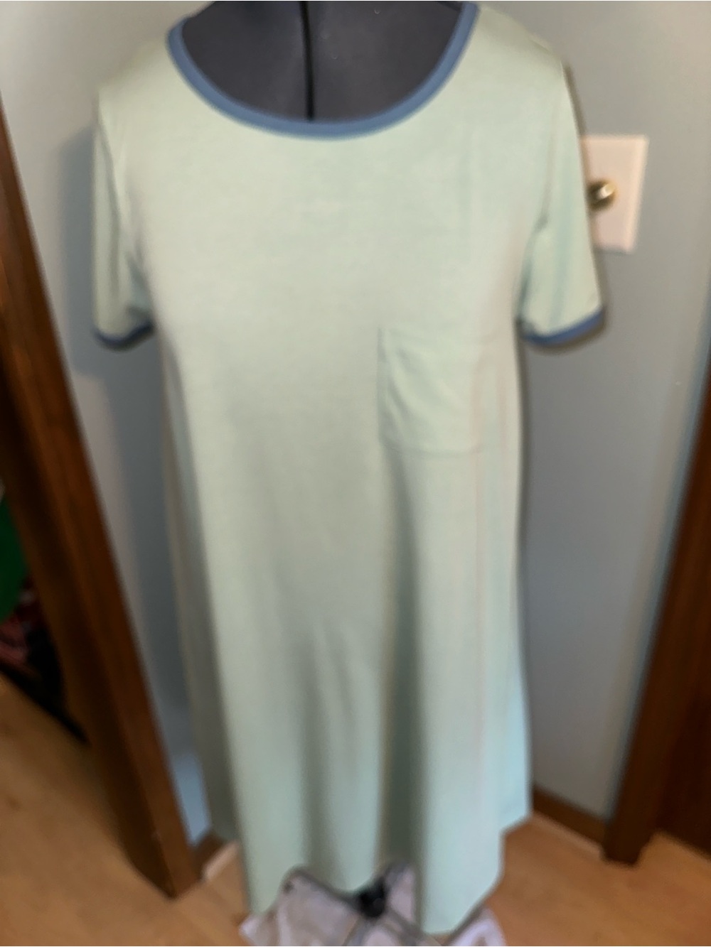 LuLaRoe Mint Short Sleeve Carly Dress with Blue Trim